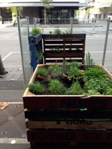 Street gardening in Melbourne