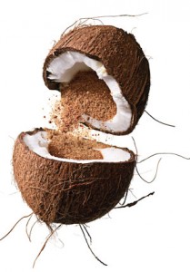 Everything is better with coconut.  