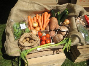 Organic Farm Produce