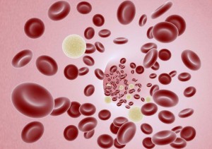 Red Blood Cells