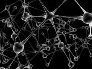 Neuronal Network