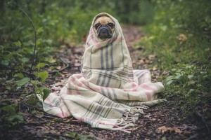 5 Eco-Friendly Ways to Keep Warm in Winter 