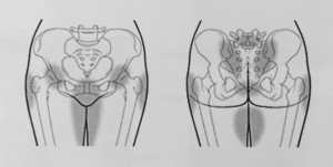 pelvic pain