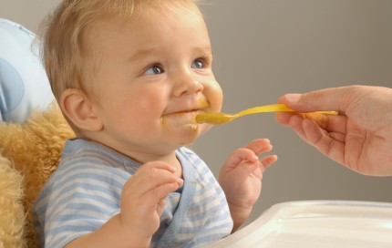 Organic Baby Foods and Formulas