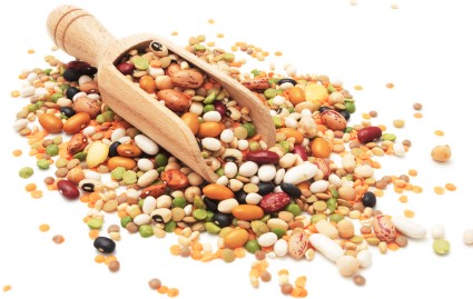 Dried Beans and Pulses