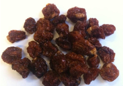 Vive Organic Incaberries