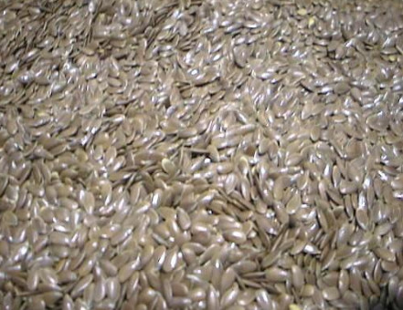 Vive Organic Linseeds (Flaxseeds) Vive Organic Linseeds (Flaxseeds)