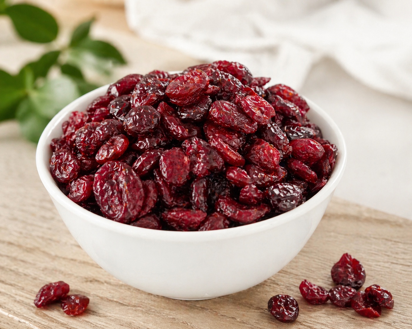 Vive Organic Dried Cranberries