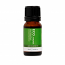 Eco. Modern Essentials Eucalyptus Pure Essential Oil