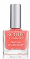 Scout Nail Polish Nova Flores About A Girl