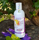 Gypsy Rose All Natural 2 in 1 Shampoo Lavender