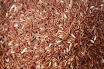 Vive Organic Brown Basmati Rice