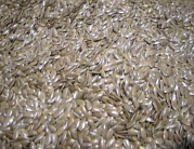 Vive Organic Linseeds (Flaxseeds)