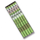 Incense of the World Japanese Incense Roll Mount Fuji