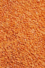 Vive Organic Red Lentils