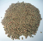 Vive Organic French Green Lentils