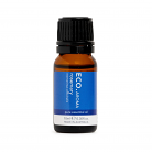 Eco. Modern Essentials Rosemary Pure Essential Oil